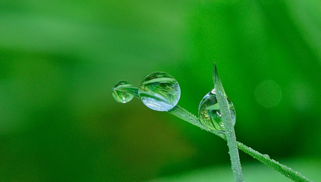 Close-up of water droplets on a grass blade, highlighting nature's beauty and detail.